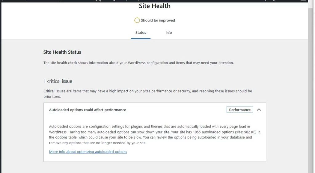 WordPress 网站健康状况显示自动加载选项太高